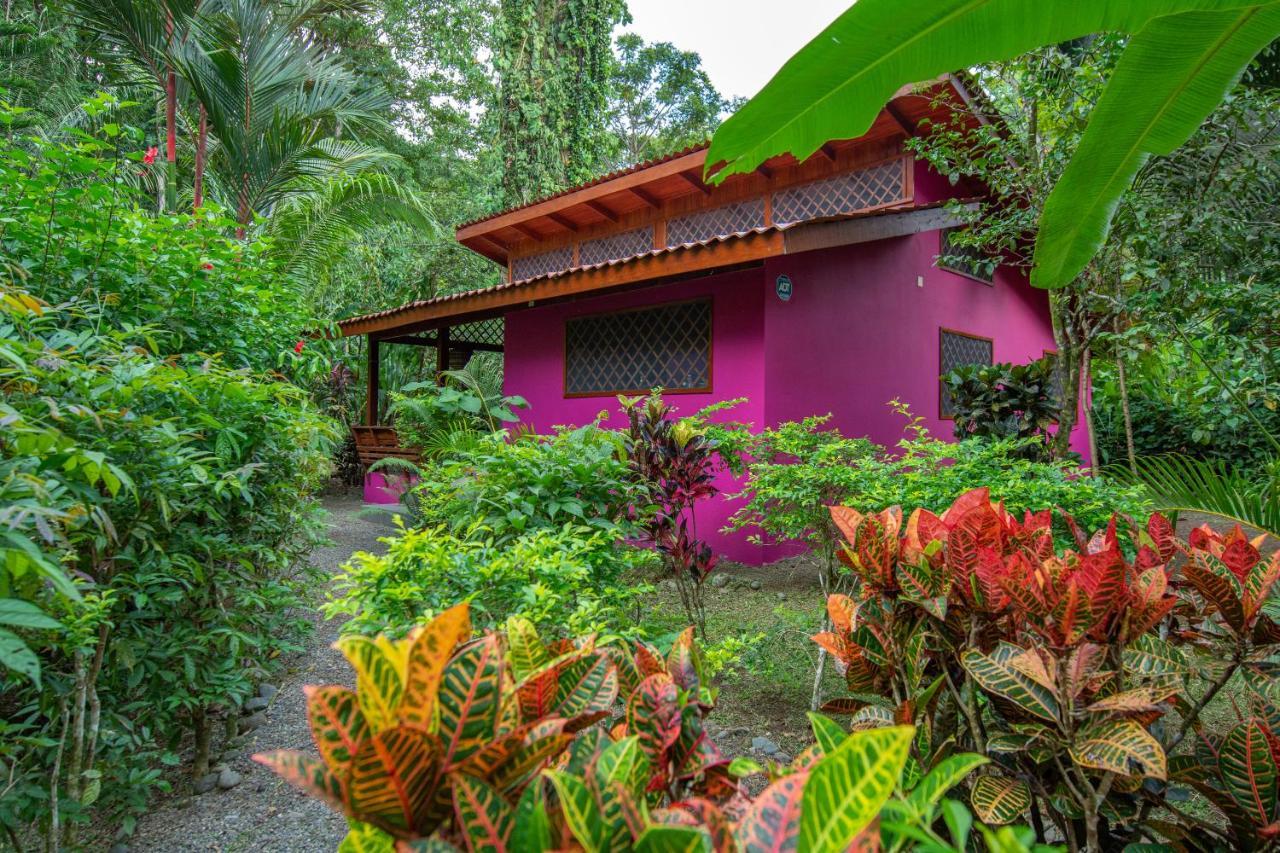 Colores Del Caribe Dependencia Del Hotel Casa Merlin Puerto Viejo de Talamanca Exterior photo